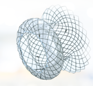 Lumen Apposing stent Ø10x20mm, 180cm 