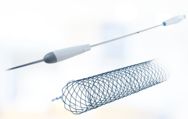 Metallstent, Galle, Udekket, Ø:10x80mm 